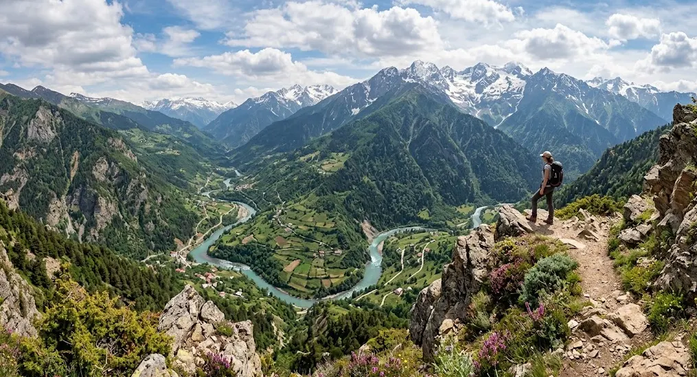 Kaz Dağları'nda güneş ışığının süzüldüğü orman yolu